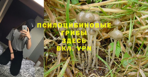 винт Беломорск